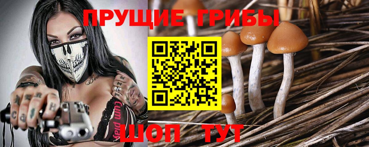 Галлюциногенные грибы Cubensis Саров